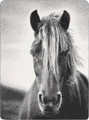 Koc młodzieżowy Biederlack Animal Love z koniem